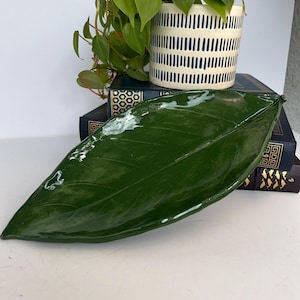 May include: A glossy, dark green ceramic leaf-shaped dish. A potted plant with green leaves sits on a stack of books behind the dish. The plant pot is white with a blue vertical stripe pattern.