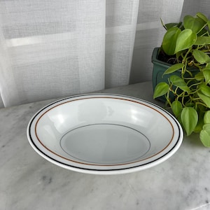 May include: White ceramic bowl with a black, brown, and black rim. The bowl is round with a shallow depth. The bowl is sitting on a white marble surface. A green plant in a green pot is in the background.