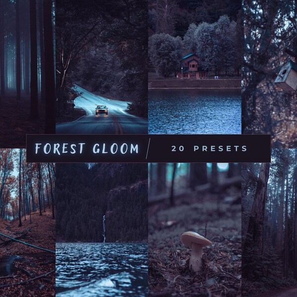 20 Forest Gloom Lightroom Presets, Moody Presets, Lightroom Presets, Mobile Presets, Desktop Presets, Natural Presets, Dark Presets