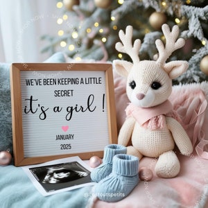 Christmas Pregnancy Announcement Digital Baby Announcement Gender Announce Pregnancy Editable Template Social Media Reveal, gender reveal