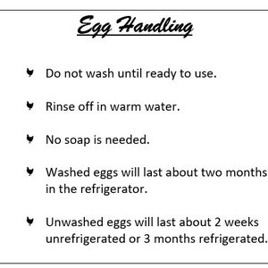 Instrucciones para la manipulación de huevos - Descarga digital