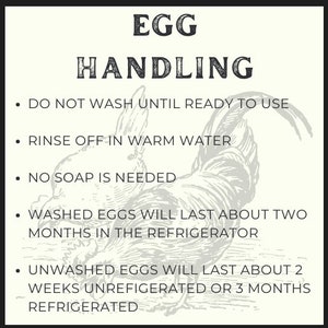 Egg Handling Instructions