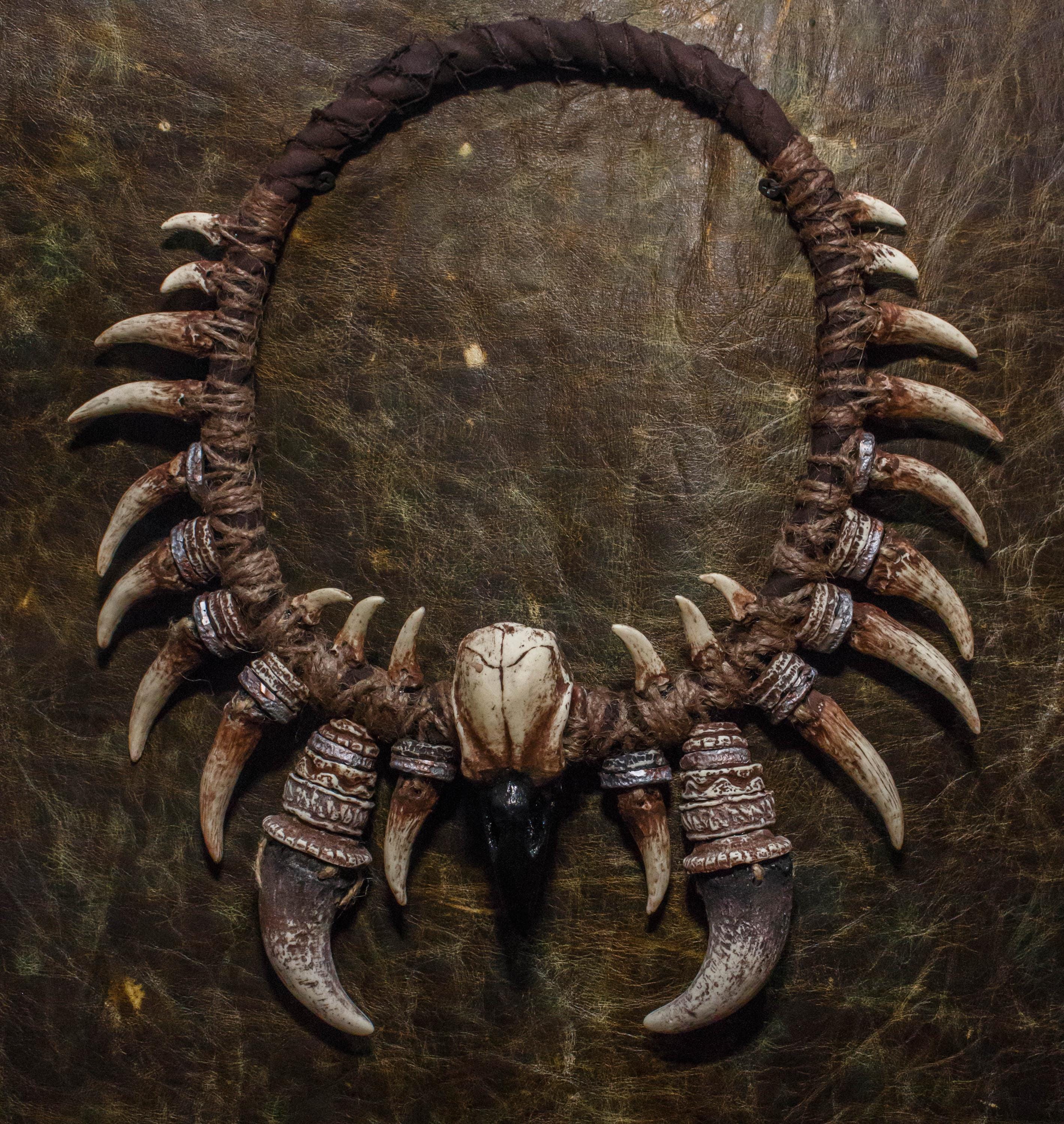 Boar Tusk - Etsy