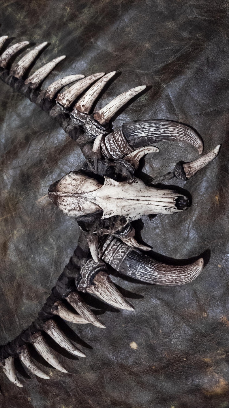 Primal Fox Skull Belt, Ritual Bone Cord for Shaman Cosplay, Tribal LARP ...