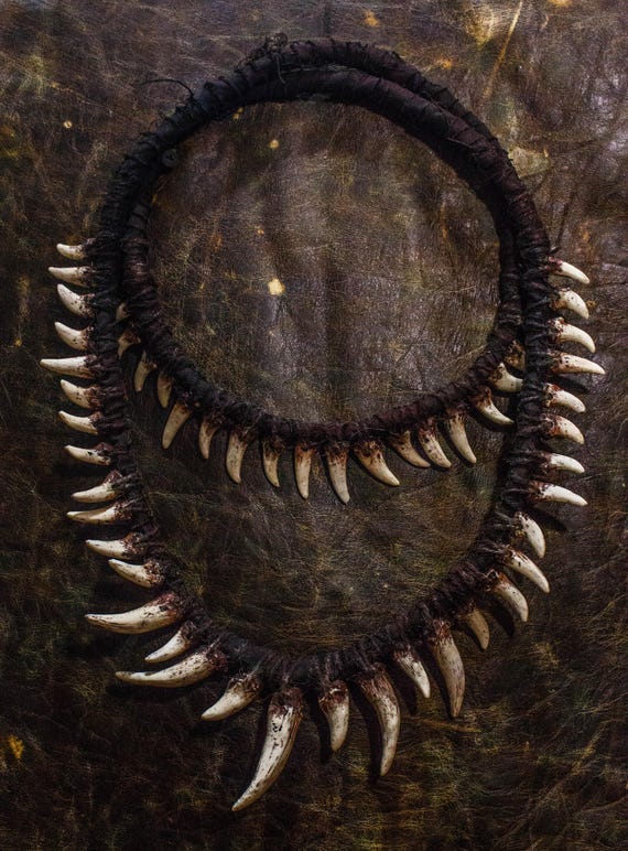 Double‑Wrapped Shaman Fang Necklace