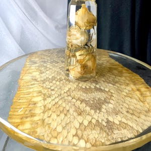Peut inclure: Un objet décoratif en verre transparent rempli de fleurs séchées. L'objet est cylindrique et repose sur une surface ronde en verre bordée d'or avec un motif peau de serpent. Les fleurs sont de couleur beige clair.