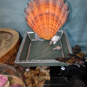 Soldered Wood Catch-All Box- Orange Lion Paw Shell & Death Head Moth Functional Sculptural Obscurities Decor