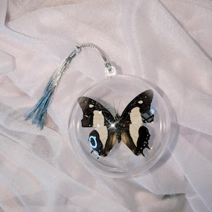 May include: A clear, spherical ornament containing a preserved butterfly with black and cream-colored wings. The butterfly features a distinct blue circular marking on its lower wing. A silver cord with a matching blue tassel is attached to the top.