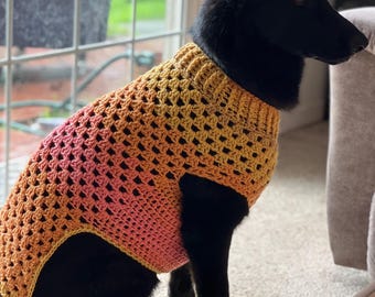 May include: A black dog wearing a crocheted dog sweater with a gradient of pink, orange, and yellow.
