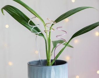 Plant support stake holder leaves wire spiral