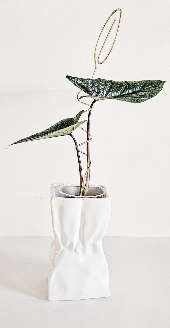 Stylish metall spiral stake plant holder support handmade. Home plant potted decor