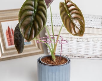 Soporte para plantas – hoja de monstera rosa
