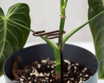 Copper Plant Support Stake, Indoor Plant Accessories