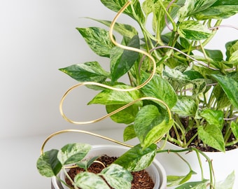 Handmade Cupcake Plant Support, Decorative Indoor Plant Trellis