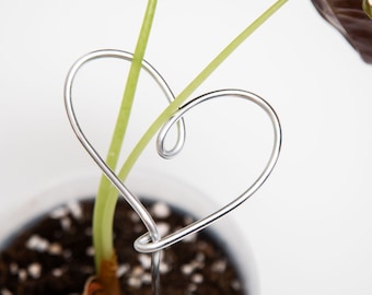 Plant support – Heart