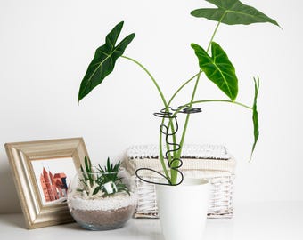 Monstera Leaf Plant Support Stake – Decorative Plant Accessory (30cm)