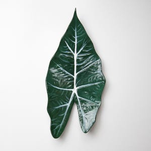Op de afbeelding: Een donkergroene, bladvormige decoratieve schaal met witte nerven. De schaal heeft een glanzende afwerking en is ontworpen om op een groot tropisch blad te lijken. De bladvormige schaal is een uniek woondecoratie-item.