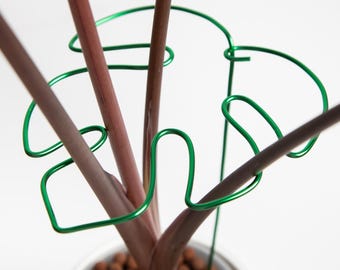 Soporte para hojas de Monstera - Estaca decorativa para plantas