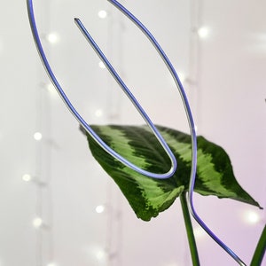 May include: A silver wire plant support shaped like a leaf, supporting a green plant with large leaves. The plant is in a pot, but the pot is not visible in the image.
