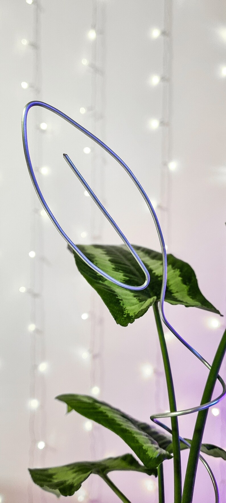 May include: A silver wire plant support shaped like a leaf, supporting a green plant with large leaves. The plant is in a pot, but the pot is not visible in the image.