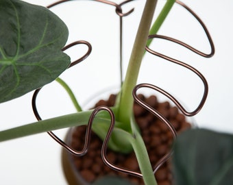 Plant support – monstera leaf brown