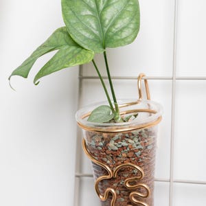 Plant Pot Holder monstera leave for 200ml