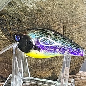 Comet - Fishing Lure