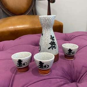 Japanese characters sake set