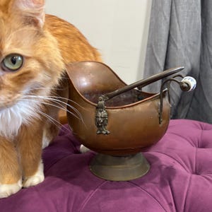 May include: A copper-toned metal coal scuttle with a handle and a decorative lion's head. The scuttle sits on a brass base and a purple tufted ottoman. A ginger cat is in the background.