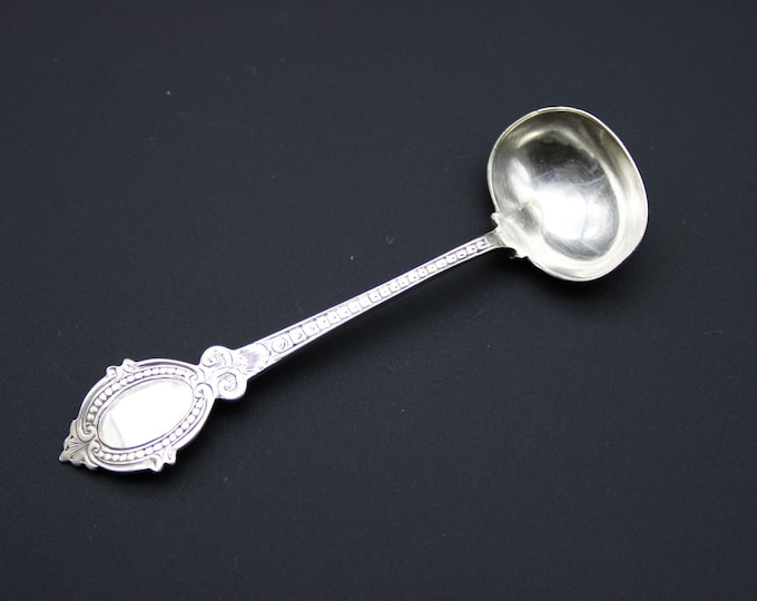 A George Unite, Victorian, Silver Condiment Spoon
