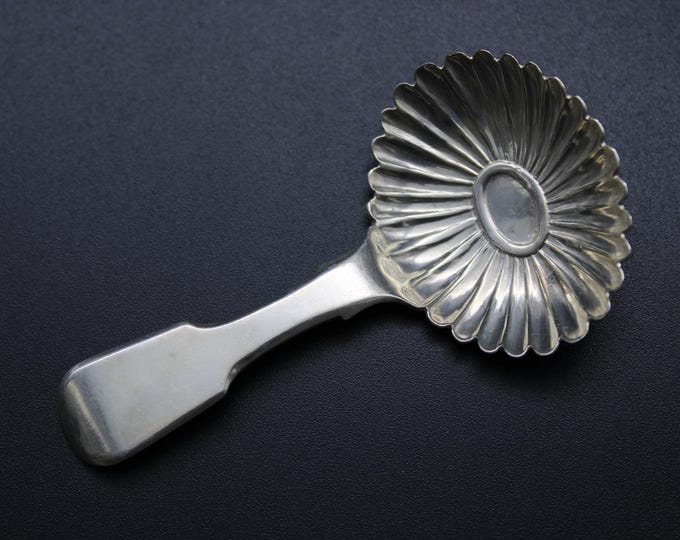 A John Stone, Exeter, William IV Period Caddy Spoon