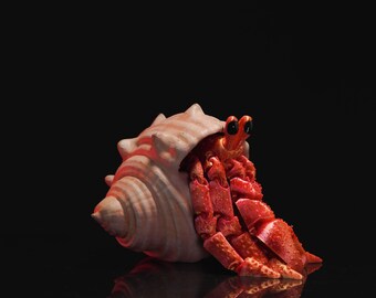 3d Printed Articulated Hermes the Hermit Crab