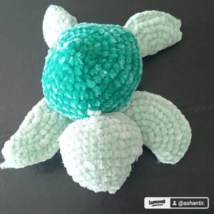 Schildpad