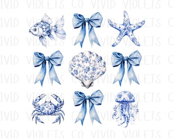 Coquette Summer png, oesterontwerp, blauwe schelp png, kleindochter aan de kust, trendy zomer png, strand png, esthetische zomer, kustesthetiek