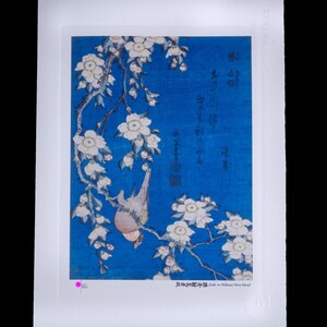 May include: Japanese woodblock print featuring a bird perched on a flowering branch against a vibrant blue background. The artwork showcases white blossoms and detailed linework, typical of traditional Japanese art. The print is mounted on white paper.