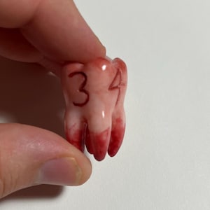 May include: A small, tooth-shaped object with the numbers "3" and "4" etched on the surface. The object is primarily off-white with red accents at the base, resembling blood. The object is held by a person.