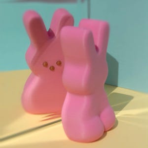 May include: Two pink bunny-shaped marshmallow candies, one standing upright and the other lying down, with brown eyes.