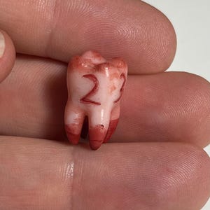 May include: A realistic, pale pink molar with the number "22" in red ink. The roots are stained red, suggesting blood. The tooth is held between fingers, showcasing its size and detail.