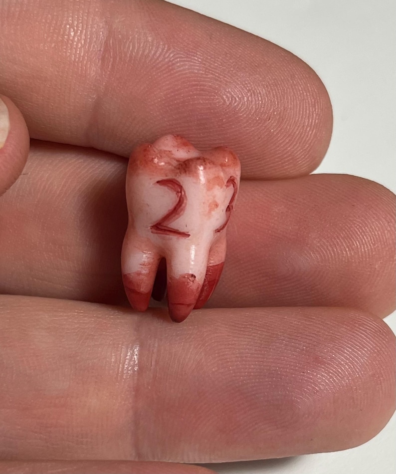 May include: A realistic, pale pink molar with the number "22" in red ink. The roots are stained red, suggesting blood. The tooth is held between fingers, showcasing its size and detail.