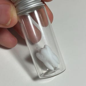 May include: A clear glass vial with a silver cap containing a white molar tooth. The tooth is a detailed replica, showcasing the root structure and enamel. The vial is held against a neutral background.