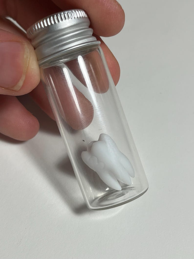 May include: A clear glass vial with a silver cap containing a white molar tooth. The tooth is a detailed replica, showcasing the root structure and enamel. The vial is held against a neutral background.