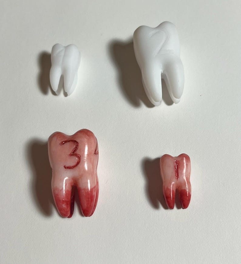 K&ouml;nnte beinhalten: Vier Modellz&auml;hne vor wei&szlig;em Hintergrund. Zwei sind wei&szlig;, zwei sind rosa mit roten Akzenten. Ein rosa Zahn tr&auml;gt die Zahl "3". Die Z&auml;hne variieren in Gr&ouml;&szlig;e und Form und zeigen die Zahnanatomie.