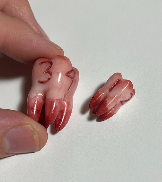 Tooth D4 Die - Replica life-sized Molar 4-sided dice prop for ttrpg and DnD, this dental dice is perfect for hags or teeth collector players