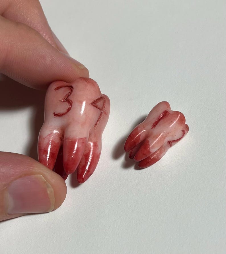 K&ouml;nnte beinhalten: Zwei realistische, rosa und rote Zahnmodelle. Ein gr&ouml;&szlig;erer Zahn hat die Zahlen "319" rot geschrieben. Die Z&auml;hne haben ein blutiges Aussehen mit roten Streifen und Spitzen. Die Z&auml;hne dienen wahrscheinlich medizinischen oder neuartigen Zwecken.