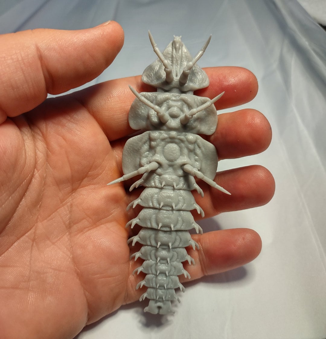 モデル三葉虫カブトムシリアルな虫のフィギュアプラスチック昆虫