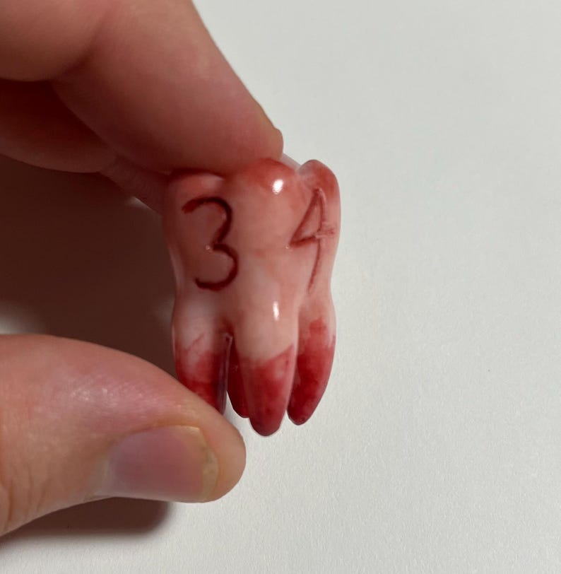 K&ouml;nnte beinhalten: Ein kleines, zahnf&ouml;rmiges Objekt mit den Zahlen "3" und "4" auf der Oberfl&auml;che. Das Objekt ist haupts&auml;chlich cremefarben mit roten Akzenten an der Basis, die an Blut erinnern. Das Objekt wird von einer Person gehalten.
