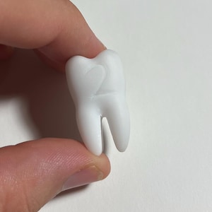 May include: A small, white molar tooth with a heart-shaped design carved into the surface. The tooth is held between fingers, showcasing its detailed shape and smooth texture. The dental-themed item is a unique decorative piece.