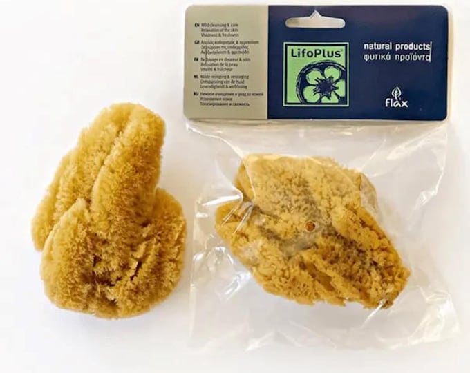 Natural Dried Greek Sea Sponge