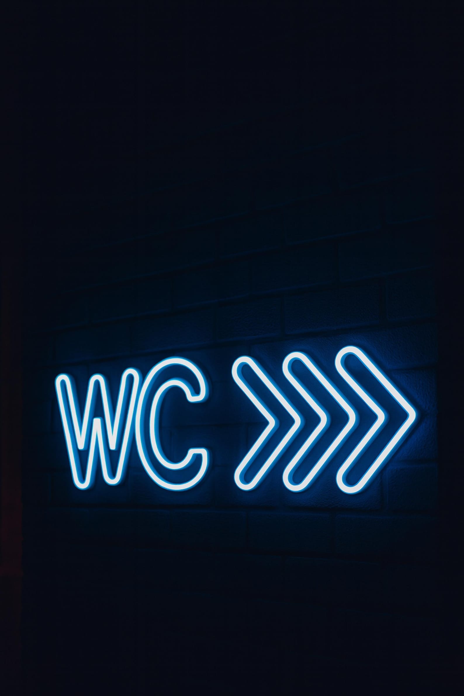 Wc Neon WC Neon Sign – Glow in the Dark Toilet Sign Bathroom Door Neon Light ...