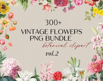 300+ Botanical Clipart Bundle Vintage Flower Illustrations Floral Elements | Digital Download PNG Commercial Use, Digital Stickers for Print